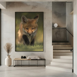 Art Prints of Red Fox Kit