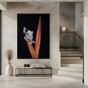 Art Prints of Red Eyed Tree Frog on a Tropical Flower