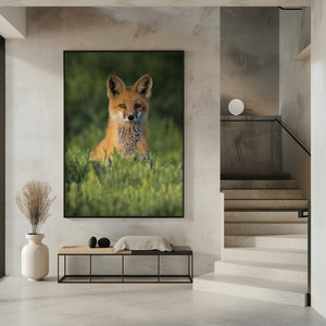 Art Prints of Peek-a-Boo