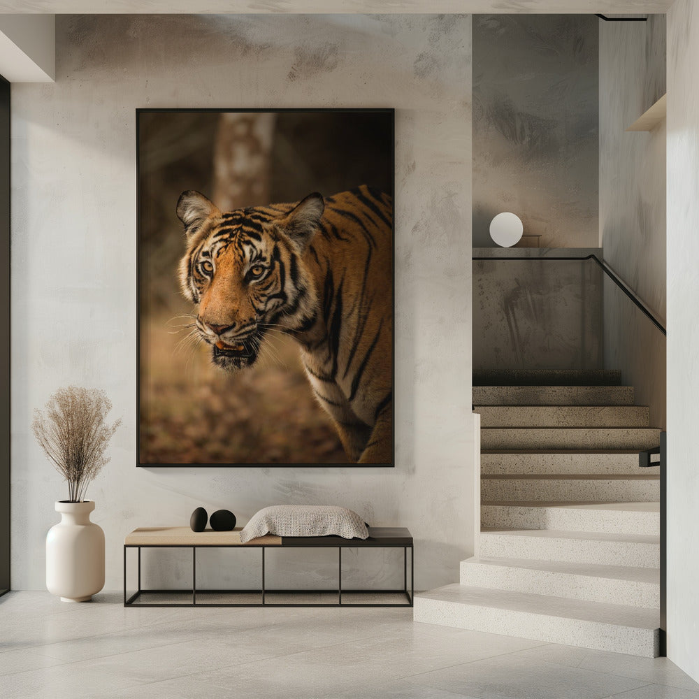 Art Prints of The Tiger