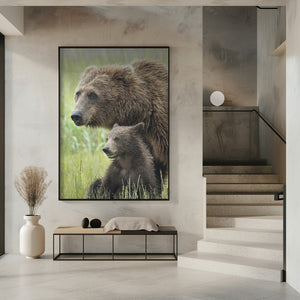 Art Prints of Momma Bear and Cub Portrait