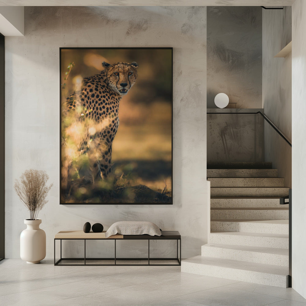 Art Prints of Camuflage