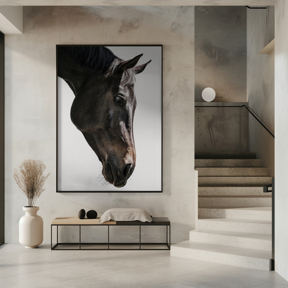 Gentle Equine Gaze