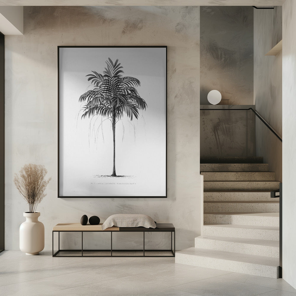 Palm Vintage