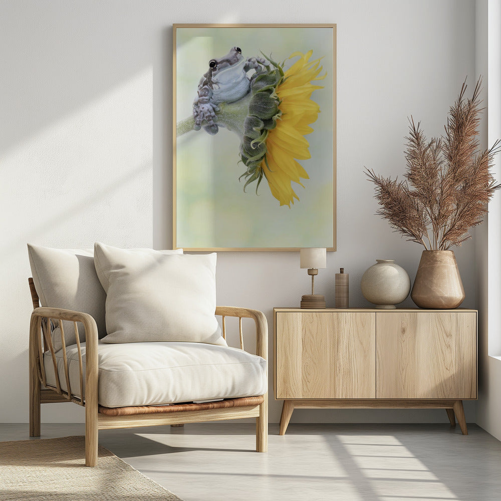 Art Prints of Frog Sunshine