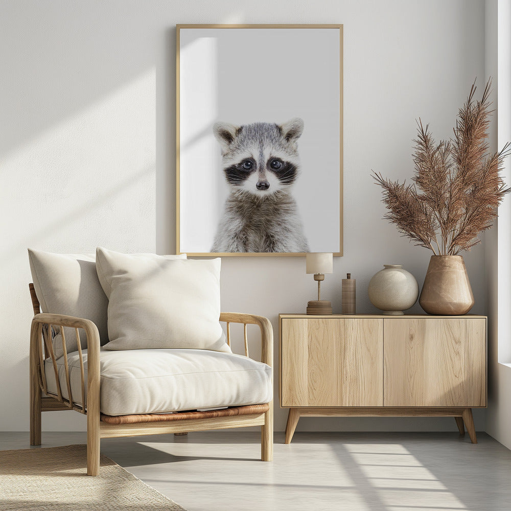 Canvas Art Print Baby Racoon