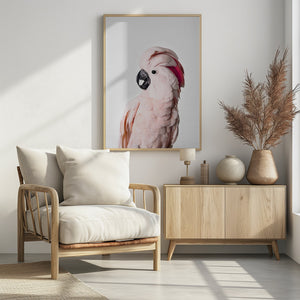 Canvas Art Print Pink Cockatoo