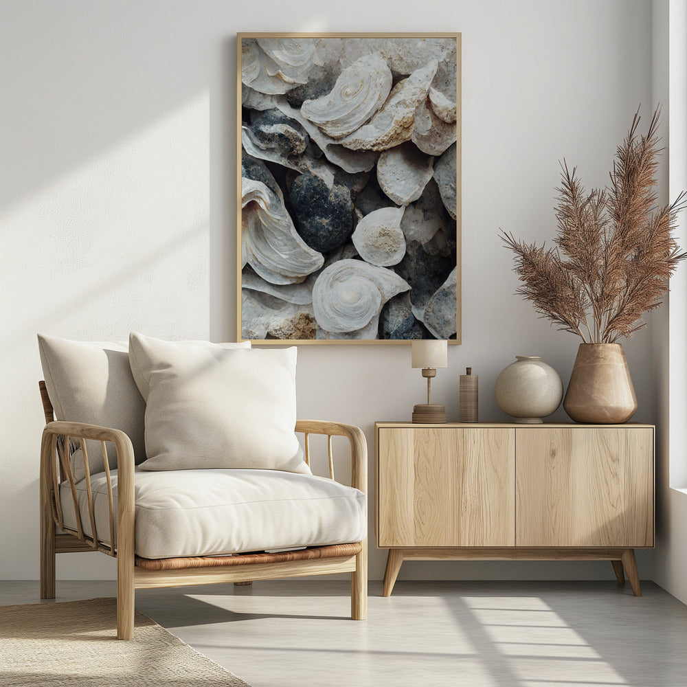 Shells and Stone