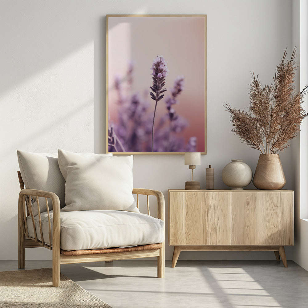 Lavender Serenity