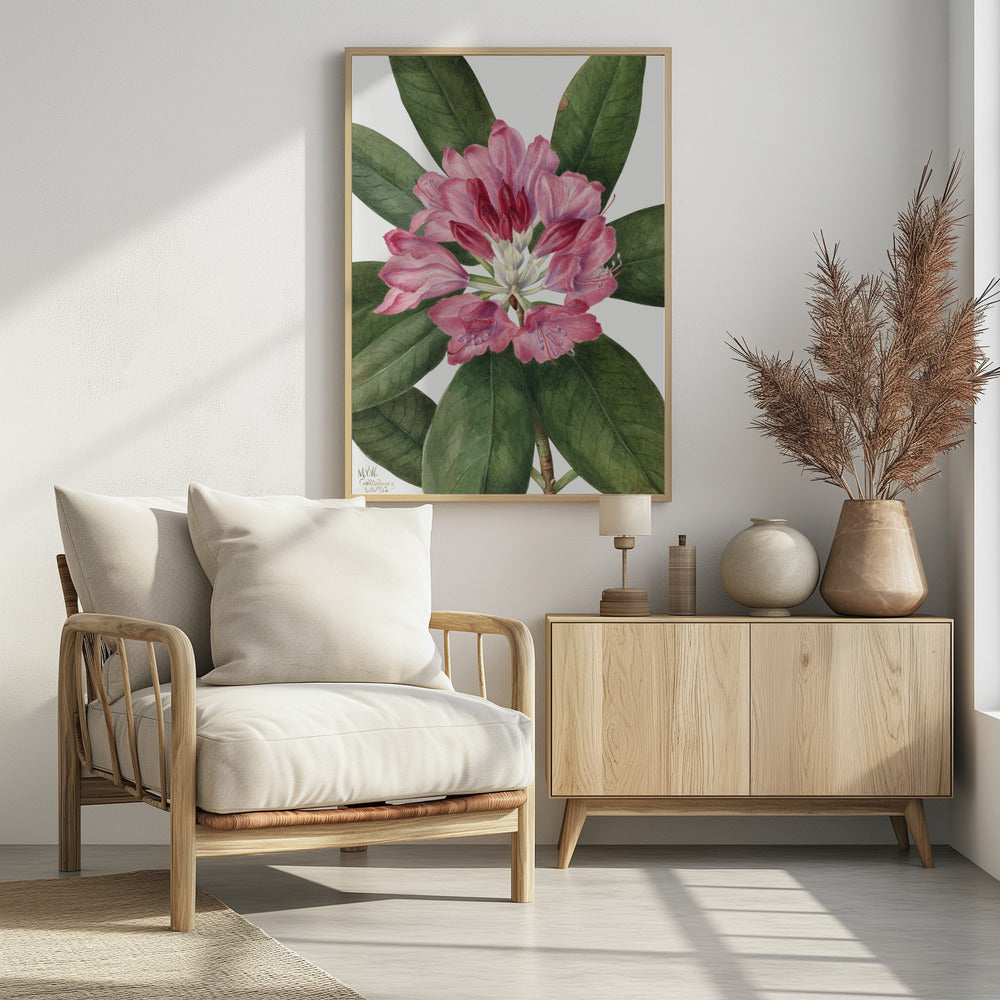 Art Prints of Mountain Rose Bay (1932)