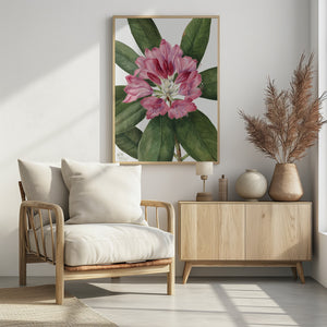 Art Prints of Mountain Rose Bay (1932)