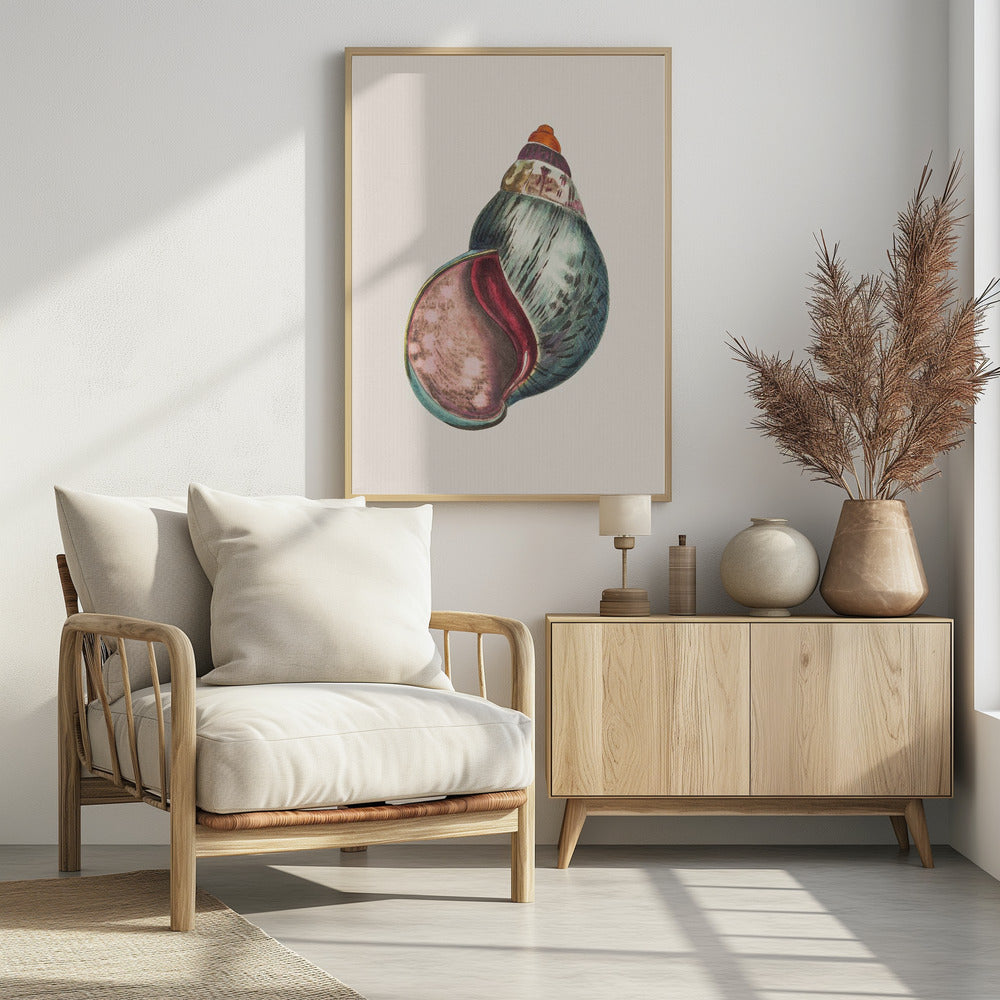 Agate Bulla