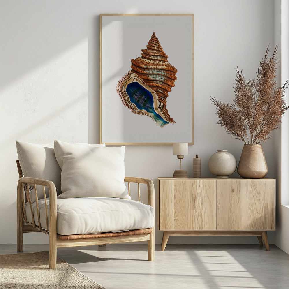 Shell Club Shaped