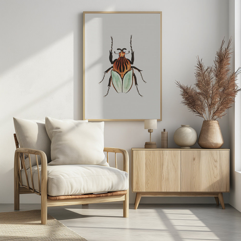 Cacique Beetle