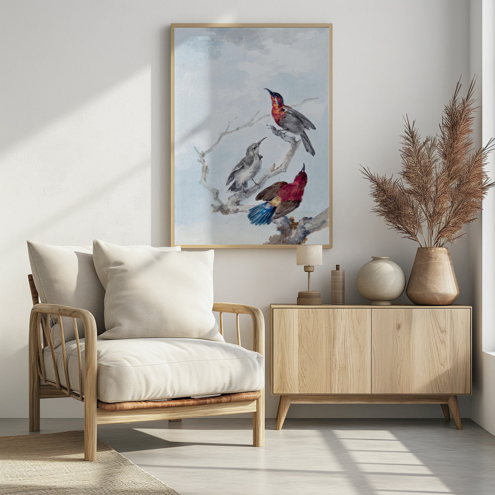 Three Crimson Sunbirds