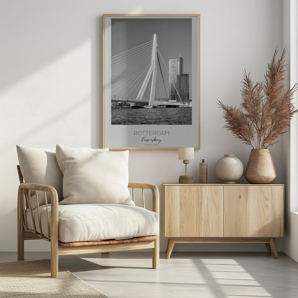 Elegant Erasmus View