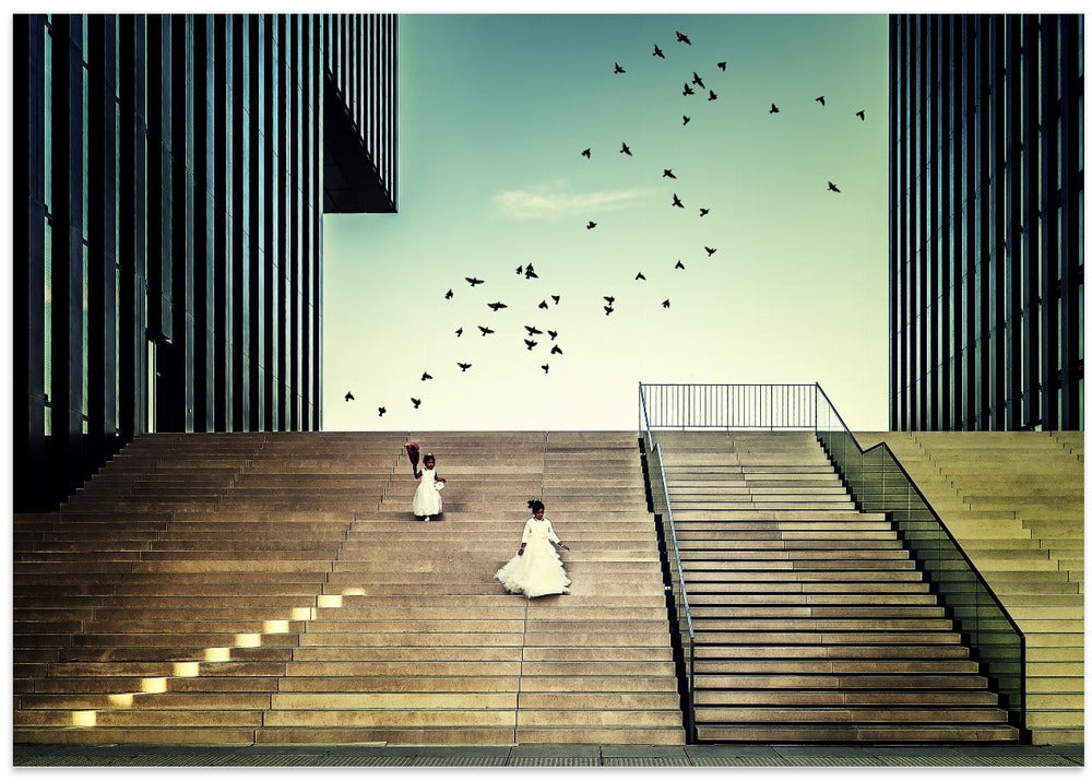 Free like a bird...