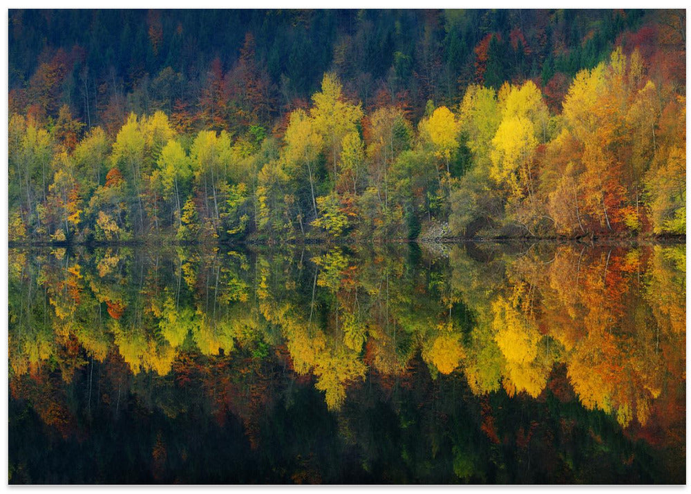 Autumnal silence