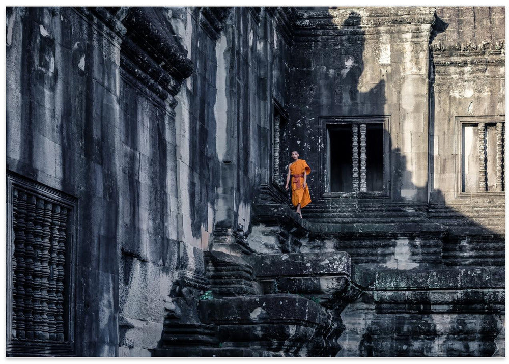 The young monk