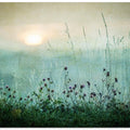 Autumn sunrise