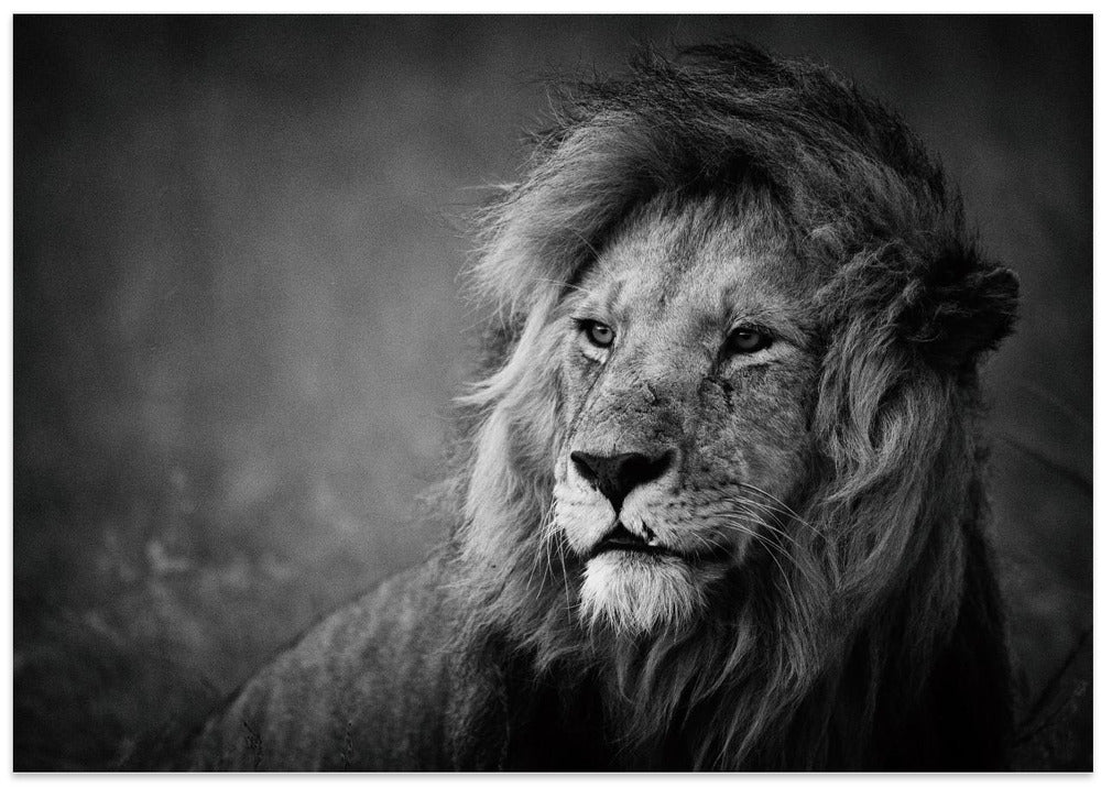 Regal