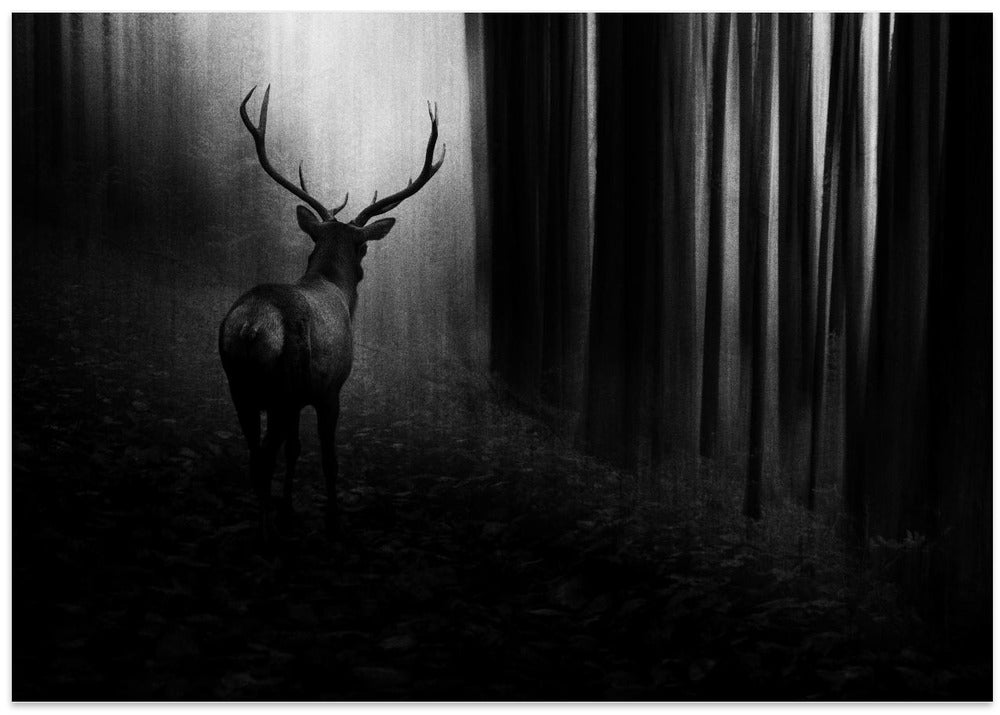 Stag