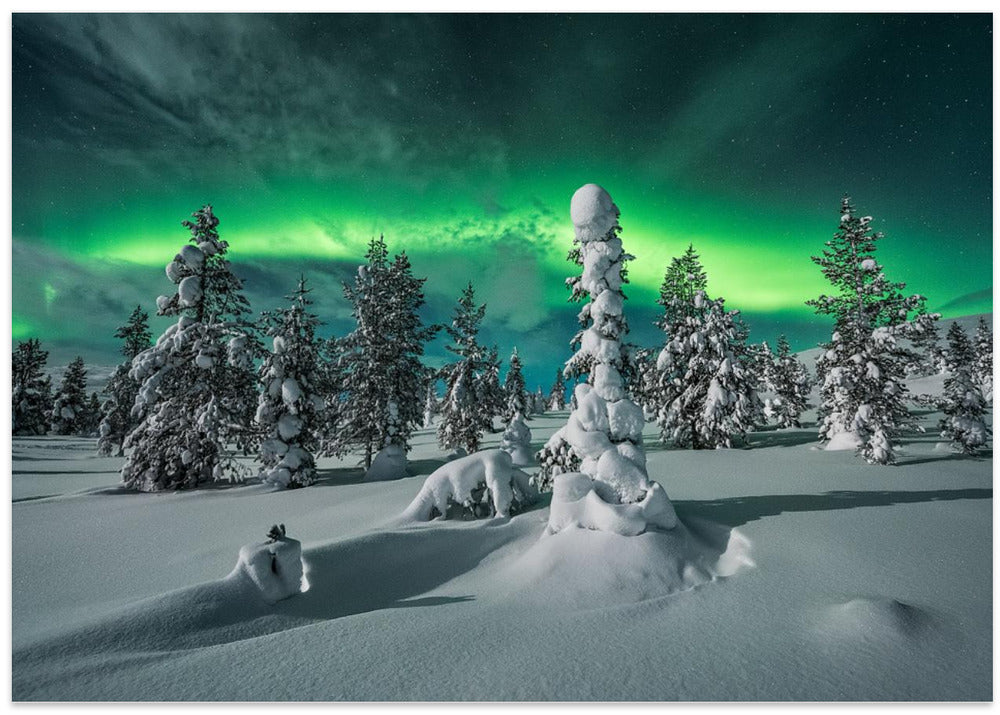 polar night