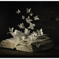 Art Prints of Lepidopterology