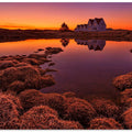 Purple Sunset
