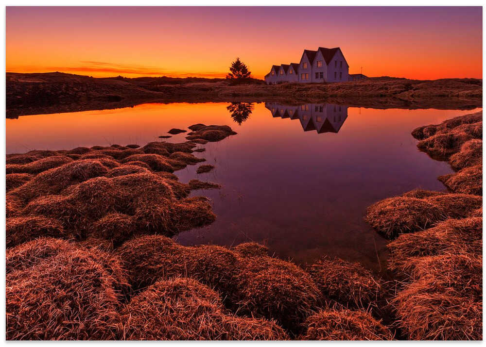 Purple Sunset