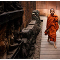 Chosen Path
