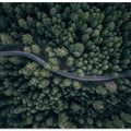 From above