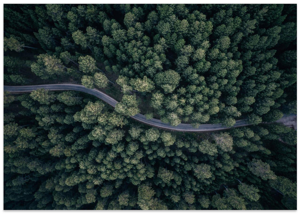 From above