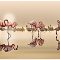 FLAMINGOS