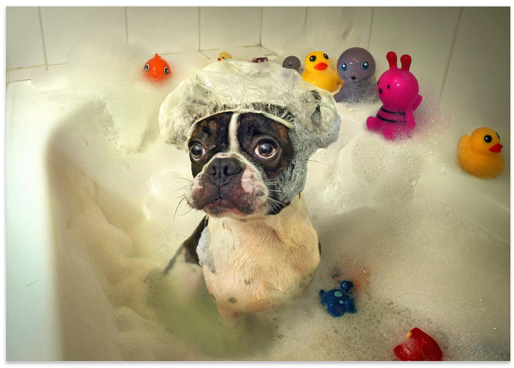 The Bath