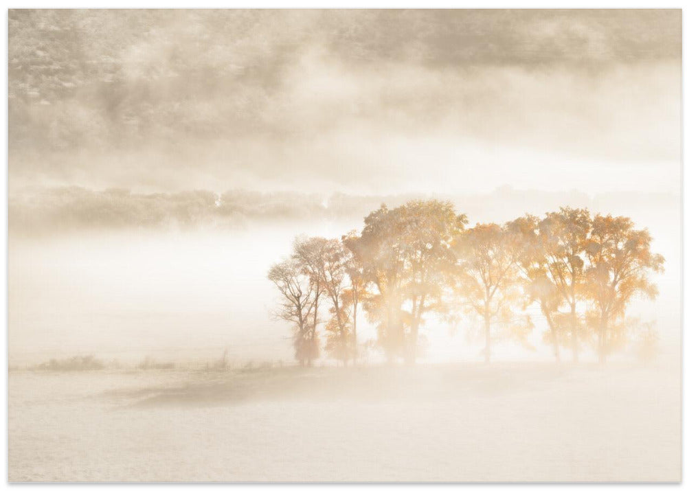 Autumn Dreams