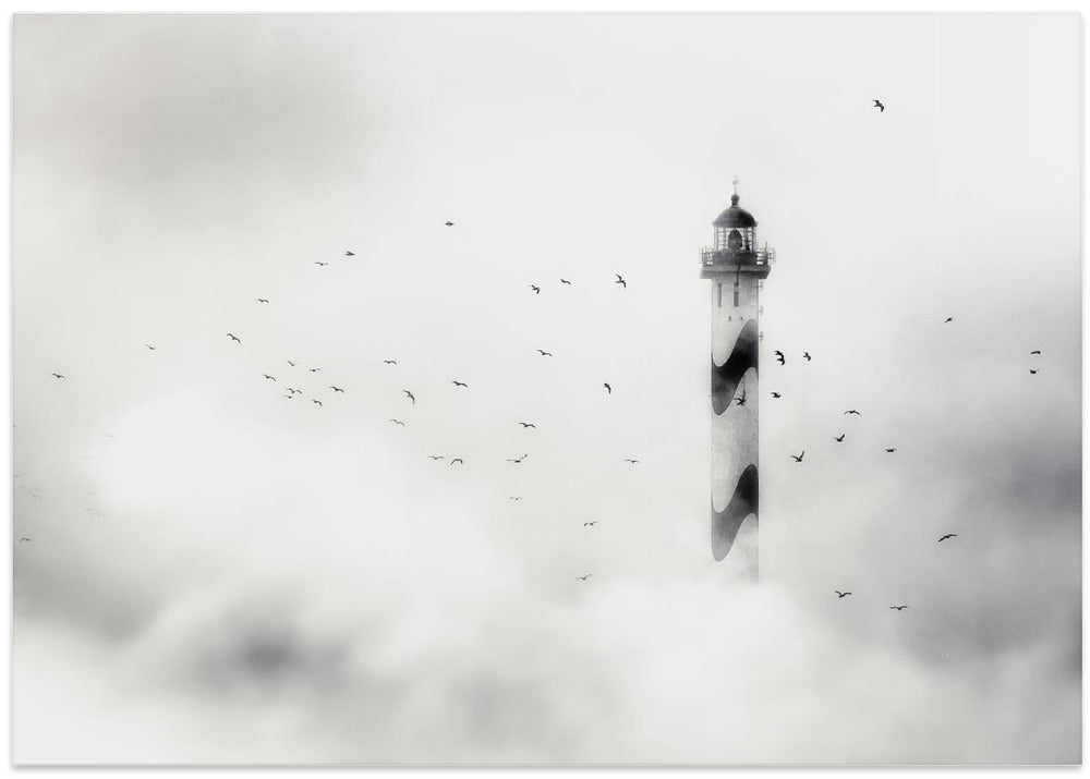the fog