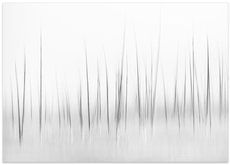 Art Prints of Wintry scenery in Yellowstone