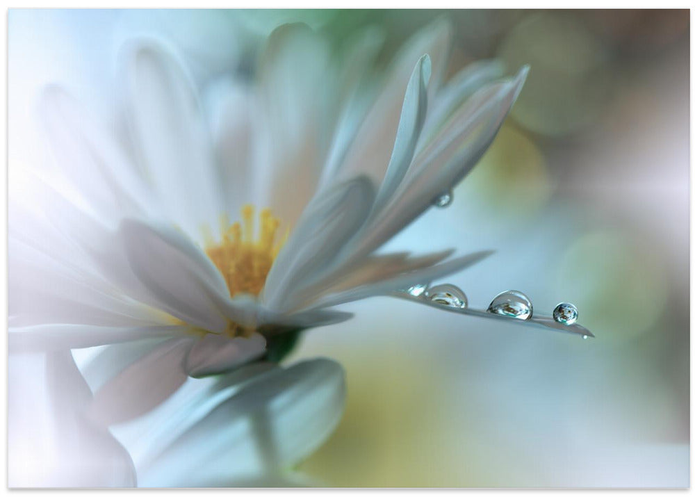 Light touch...