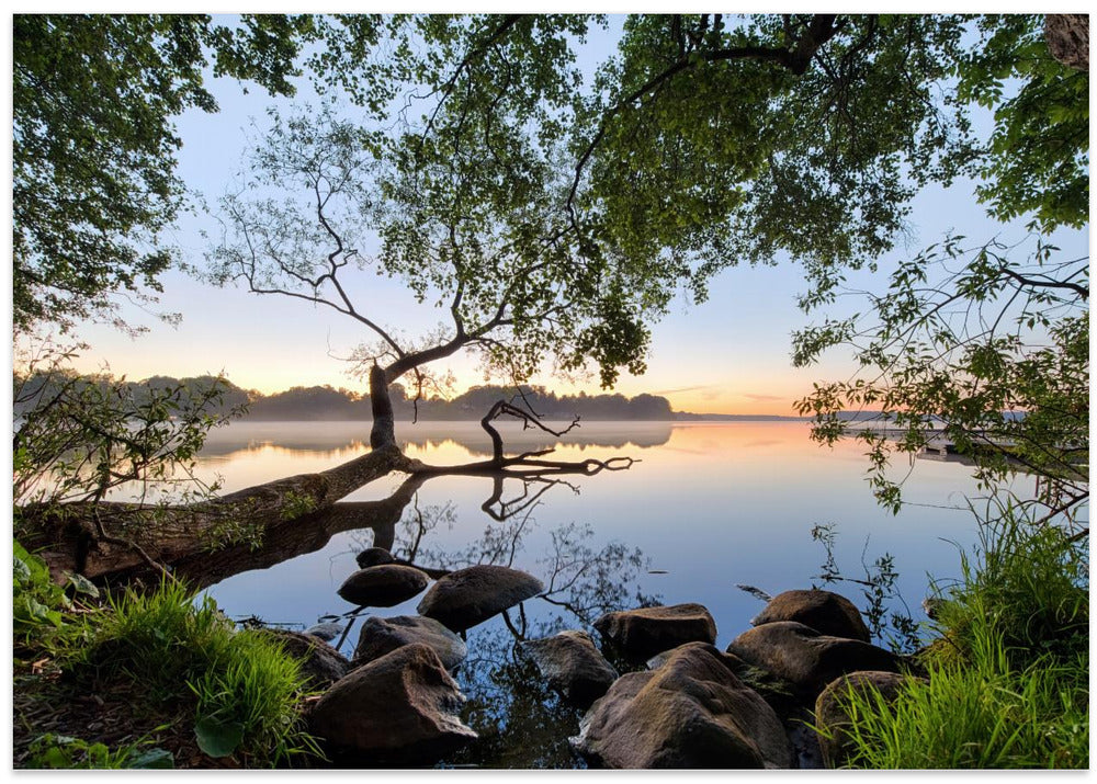 Lake view