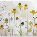 Helenium