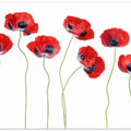 Ladybird Poppies