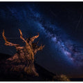 Shooting Stars Night