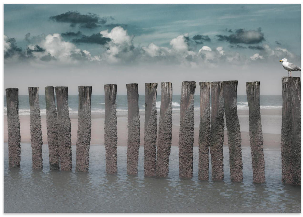 Beach bars