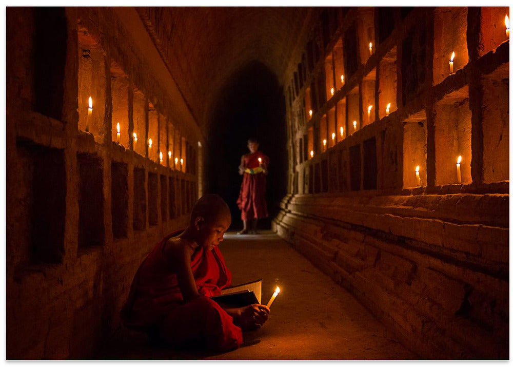 the novices