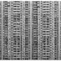 Life of Big City