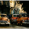 Art Prints of Come with me in the morning light