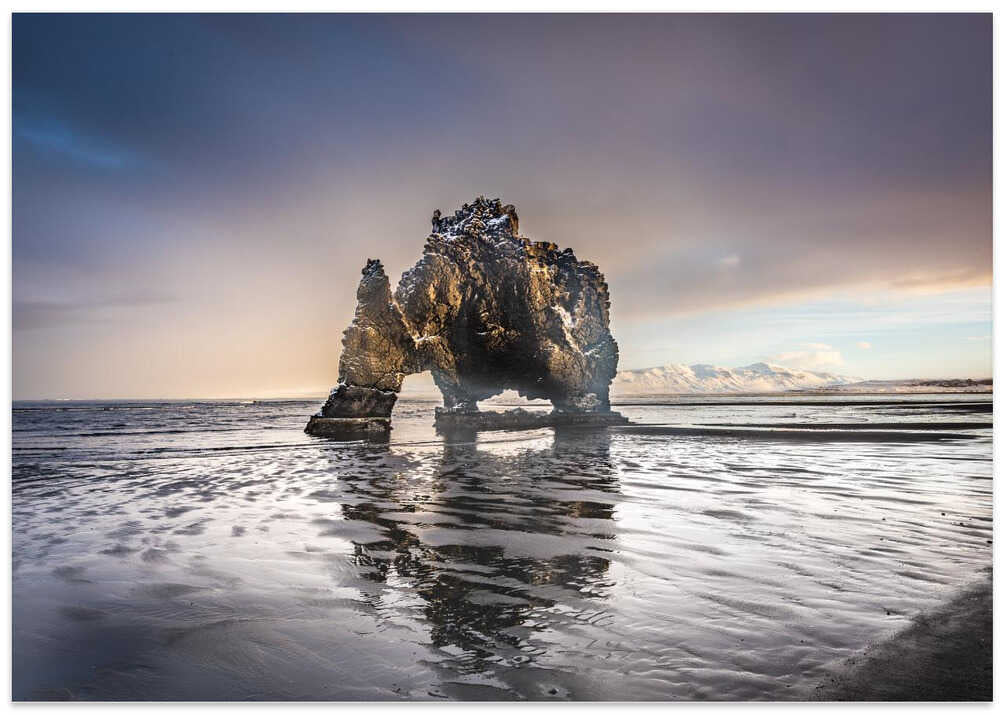 Dinosaur Rock