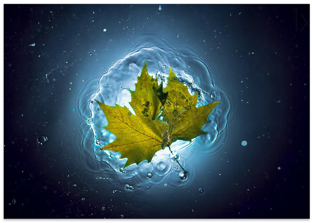 Cosmic Autumn
