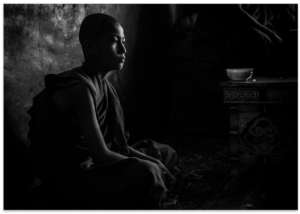 Novice in the dark